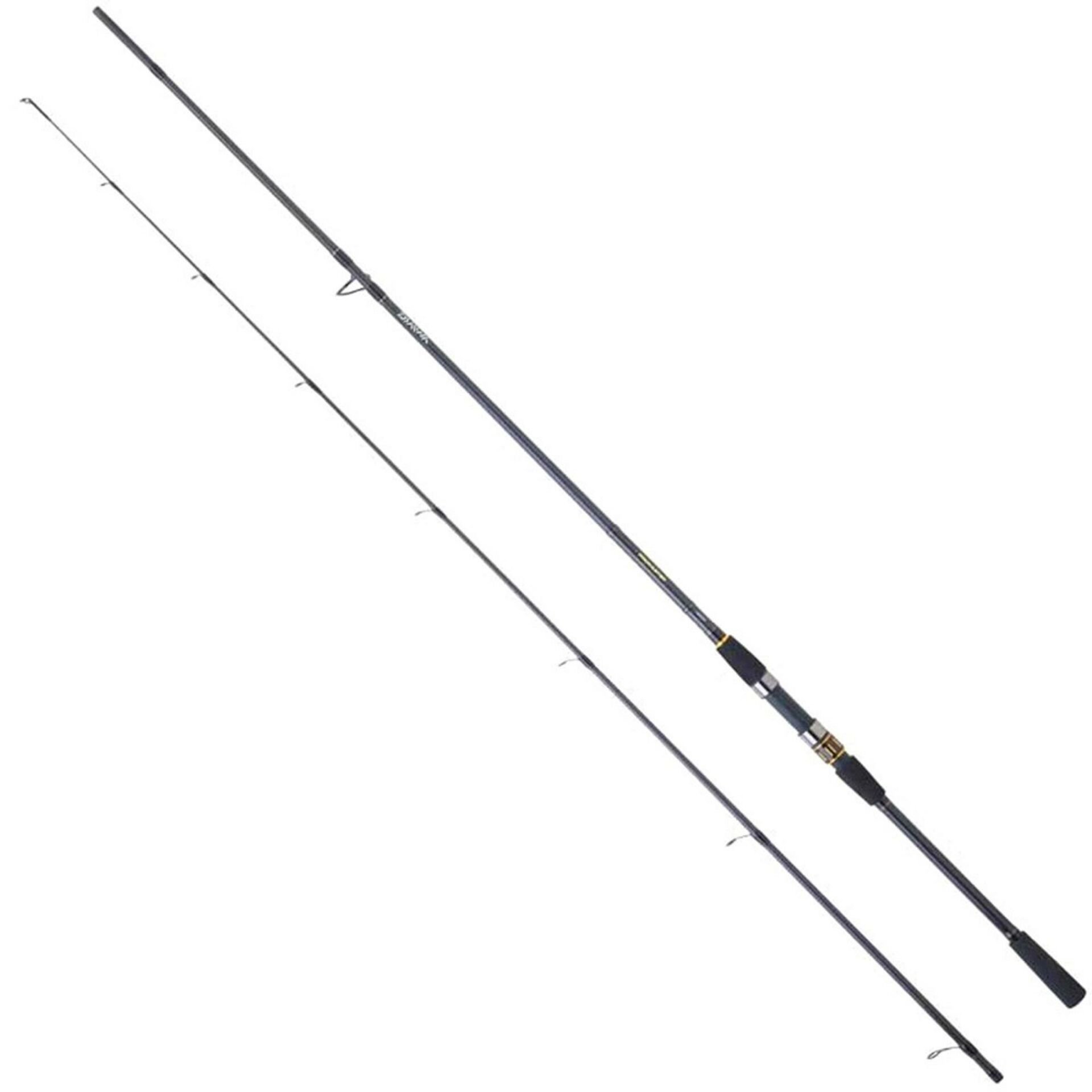 Daiwa Procaster 2.43m, 7-28gr, 2p Kamış
