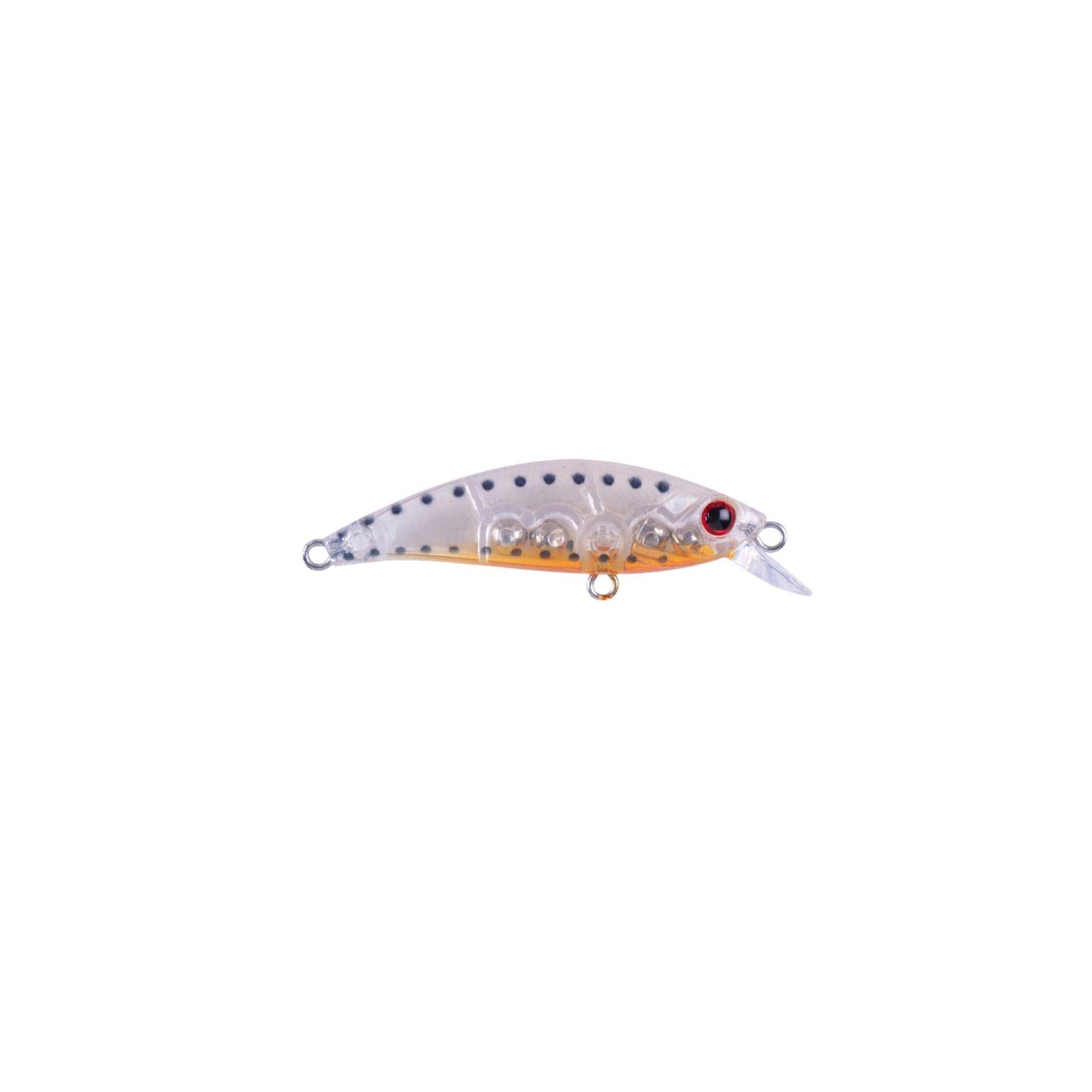 Hanfish Zıpır K-15 Dotted Shrimp