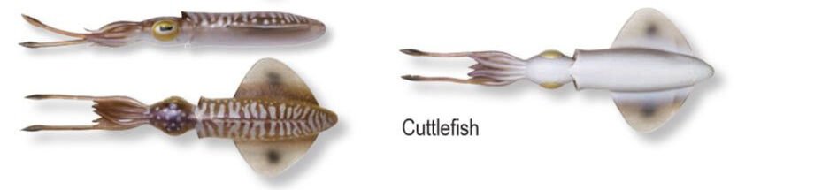 Savage gear Swim Squid 18cm 32g 2 Adet Suni Yem Cuttlefish