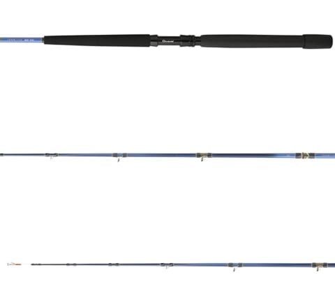 Daiwa Tanacom 1.80m 150-800gr 2P Bot Kamışı