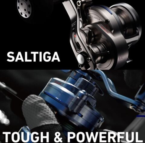 DAIWA SALTIGA 2015 15HL SJ ÇIKRIK MAKARA (SOL EL)