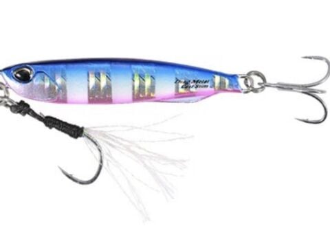 Duo Drag Metal Cast Shot Jig 40Gr .  BluePink Zebra Glow