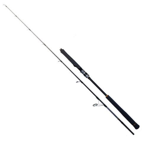 Ryuji Seawolf 1.80m 300-600gr 2p Jig Kamışı    