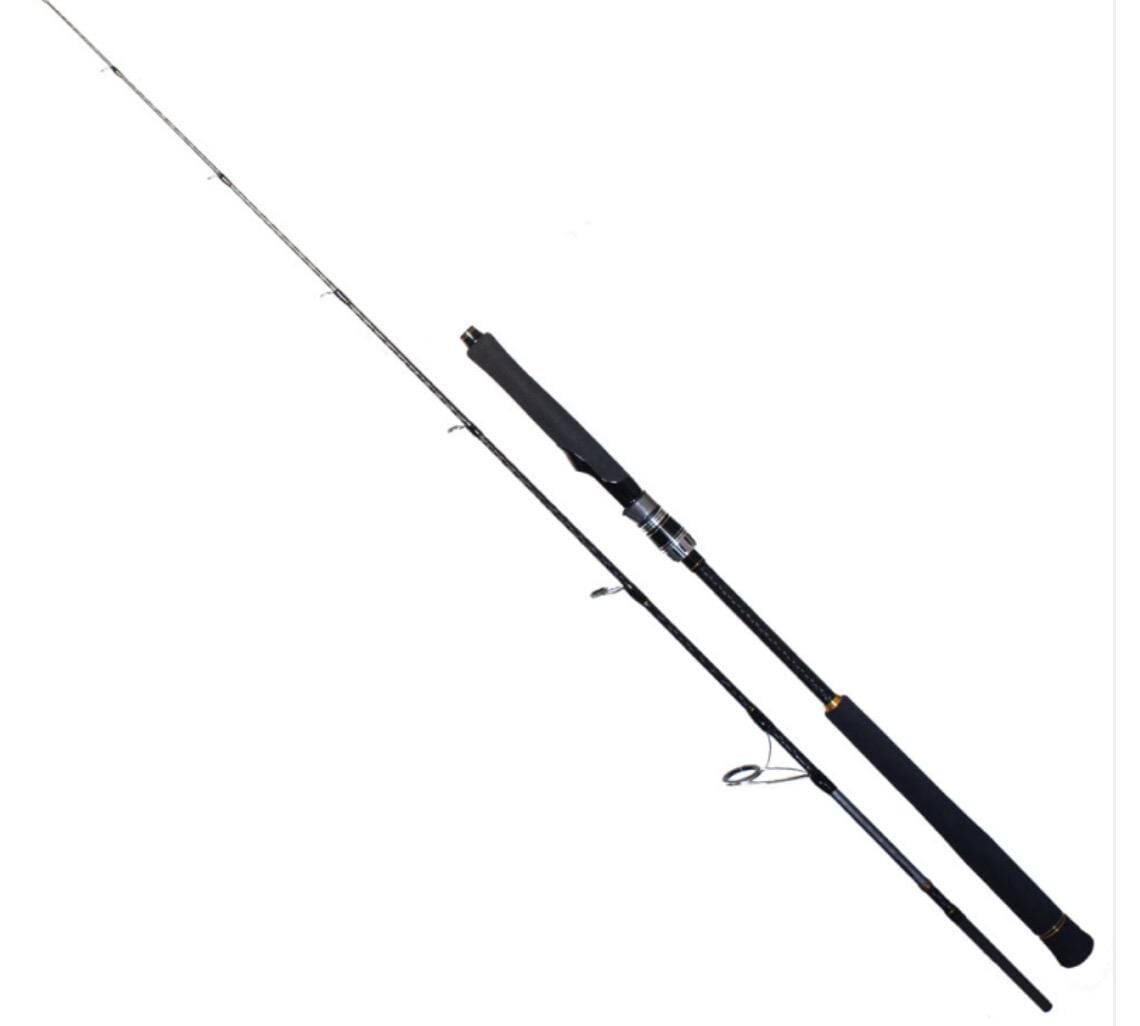RYUJI SEAWOLF 1.98M 30-150GR 2P JIG KAMIŞI