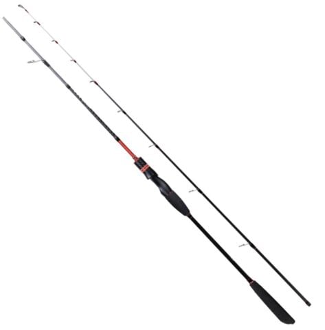 RYUJI SPECTRA SP 2.00M 40-180GR 2P BOT KAMIŞI