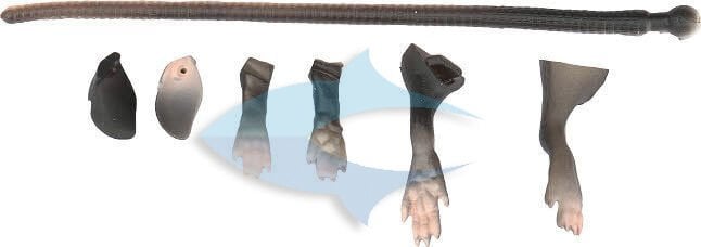 Savage gear LB 3D Rad Maintenance Kit 20 cm Black Suni Yem