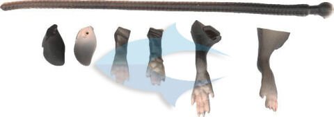 Savage gear LB 3D Rad Maintenance Kit 20 cm Black Suni Yem