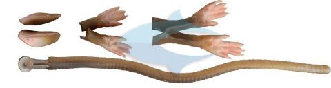 Savage gear LB 3D Rad Maintenance Kit 20 cm Brown Suni Yem