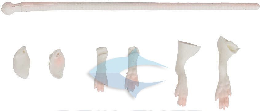 Savage gear LB 3D Rad Maintenance Kit 20 cm White Suni Yem