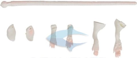 Savage gear LB 3D Rad Maintenance Kit 20 cm White Suni Yem