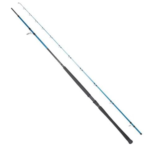 RYUJI SHORE GAME FUJI KW 2P 2,95 CM 30-100GR SHORE JIG KAMIŞI