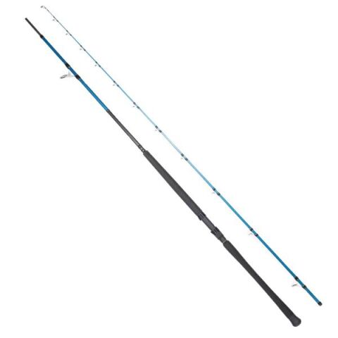 RYUJI SHORE GAME FUJI KW 2P 2,95 CM 30-100GR SHORE JIG KAMIŞI