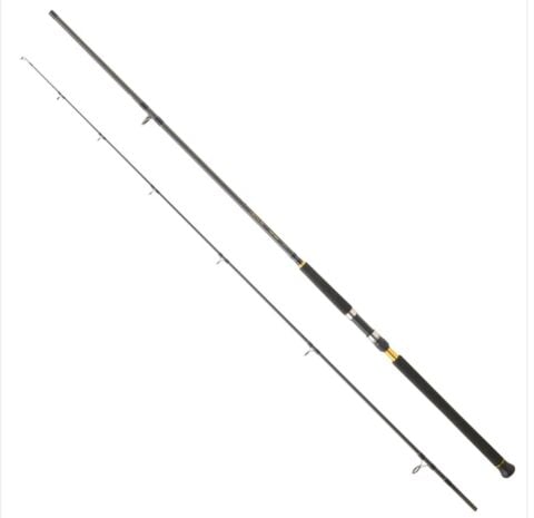 DAIWA LEGALIS SJ CF 2.90M 28-84GR 2P SHORE JIG KAMIŞI