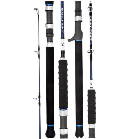 Daiwa Saltist Hyper 1.88M 80-200GR 2P SLOW JIG KAMIŞ (TETİKLİ)