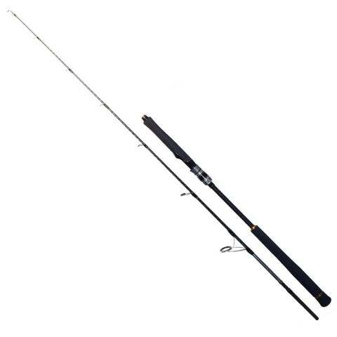 Ryuji Seawolf 1.98m 150-250gr 2p Jig Kamışı    