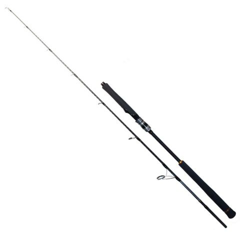 Ryuji Seawolf 1.83m 200-400gr 2p Jig Kamışı    