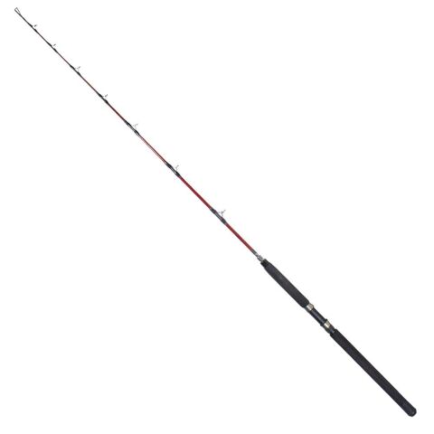 Ryuji Deep Rider 1.80m 50-80 Lbs 1+1 Trolling Kamışı    