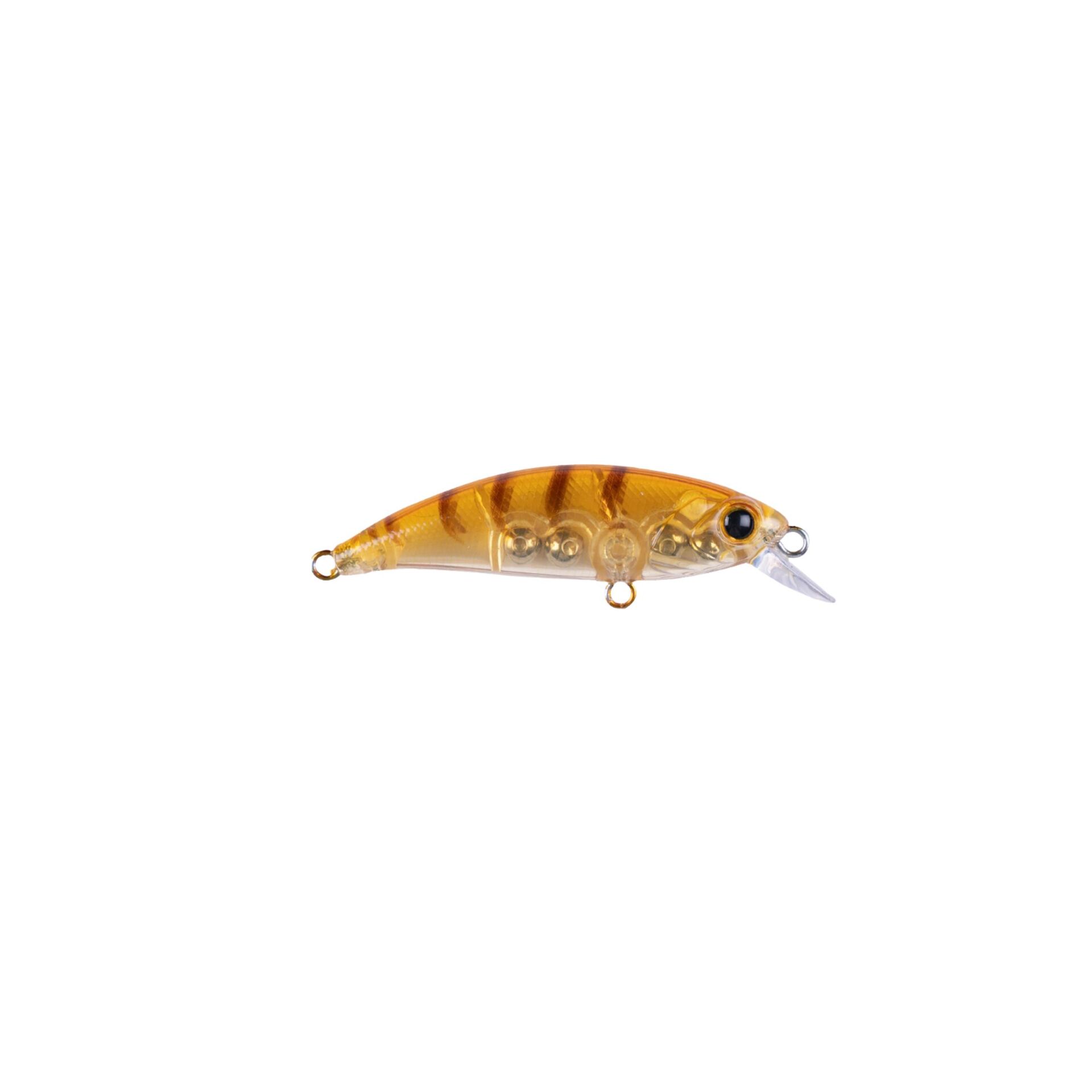 Hanfish Zıpır K-11 Honey Shrimp