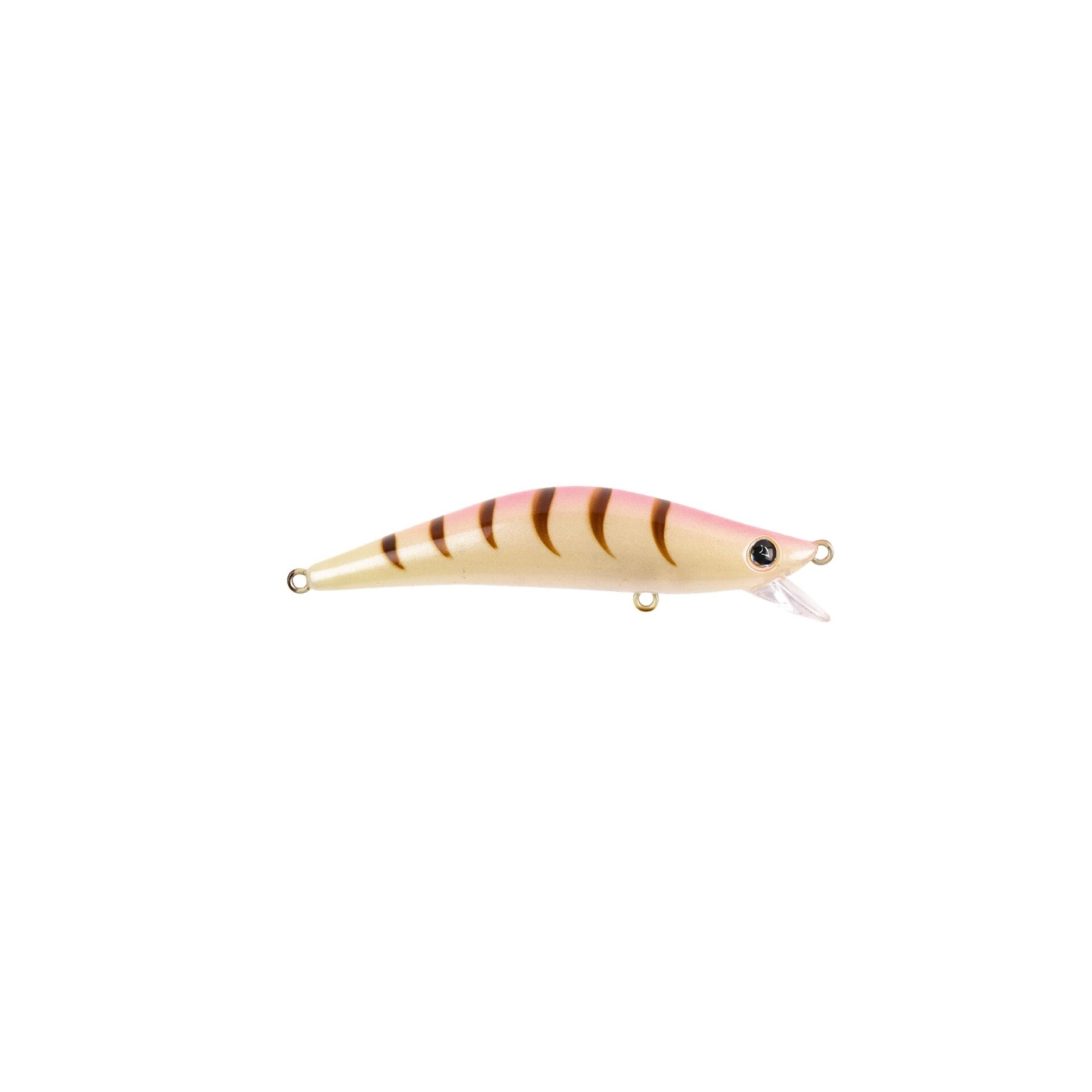 Hanfish Lokman LM204 - Special Shrimp