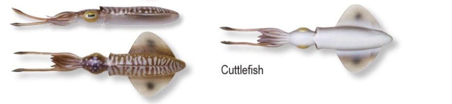 Savage gear Swim Squid 25cm 86g 1 Adet Suni Yem Cuttlefish