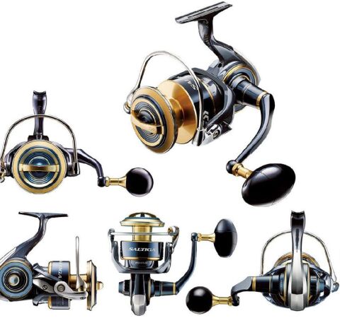 Daiwa Saltiga 20 10000 P Jig Olta Makinesi