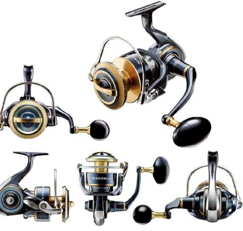 Daiwa Saltiga 20 10000 P Jig Olta Makinesi