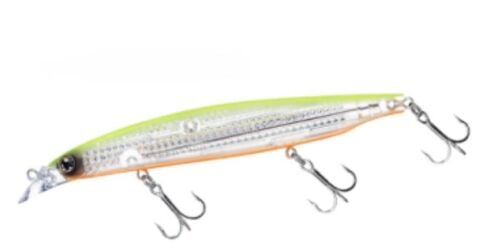 SHORELINE SHINEDAIWA SHORELINE SHINER-Z VERTICE R LASER IMPACT 125F CHART BACK