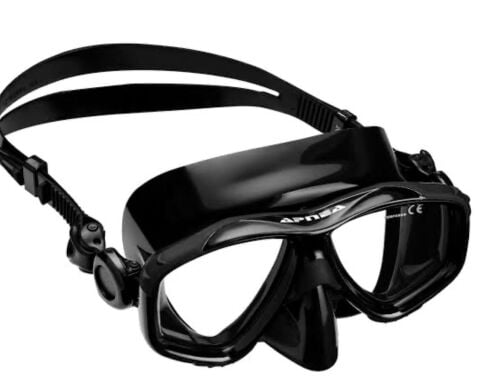 Dentex Black Mask